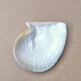 Natural pearl oyster mother-of-pearl pocket emptier, 1970s