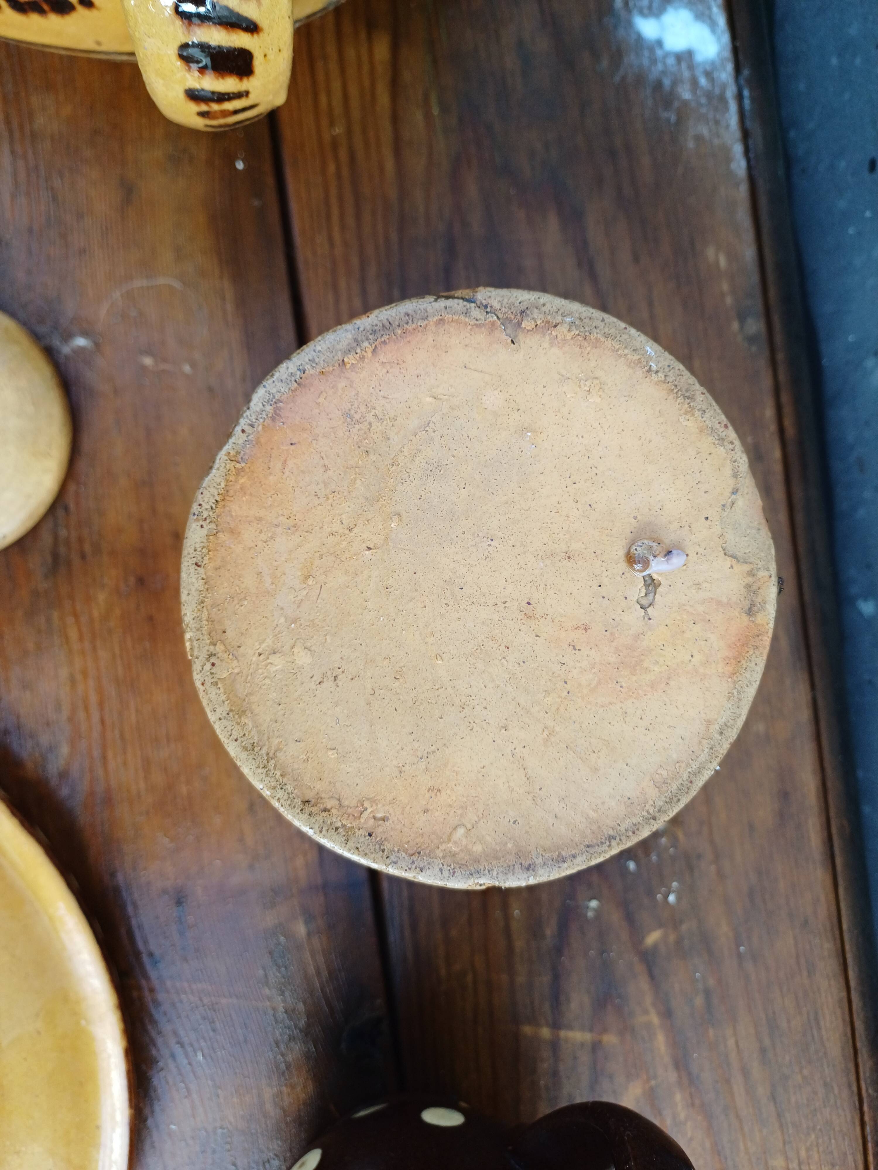 Lot of Ancient Pottery