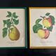 two lithographs sidney zoltan lucas
