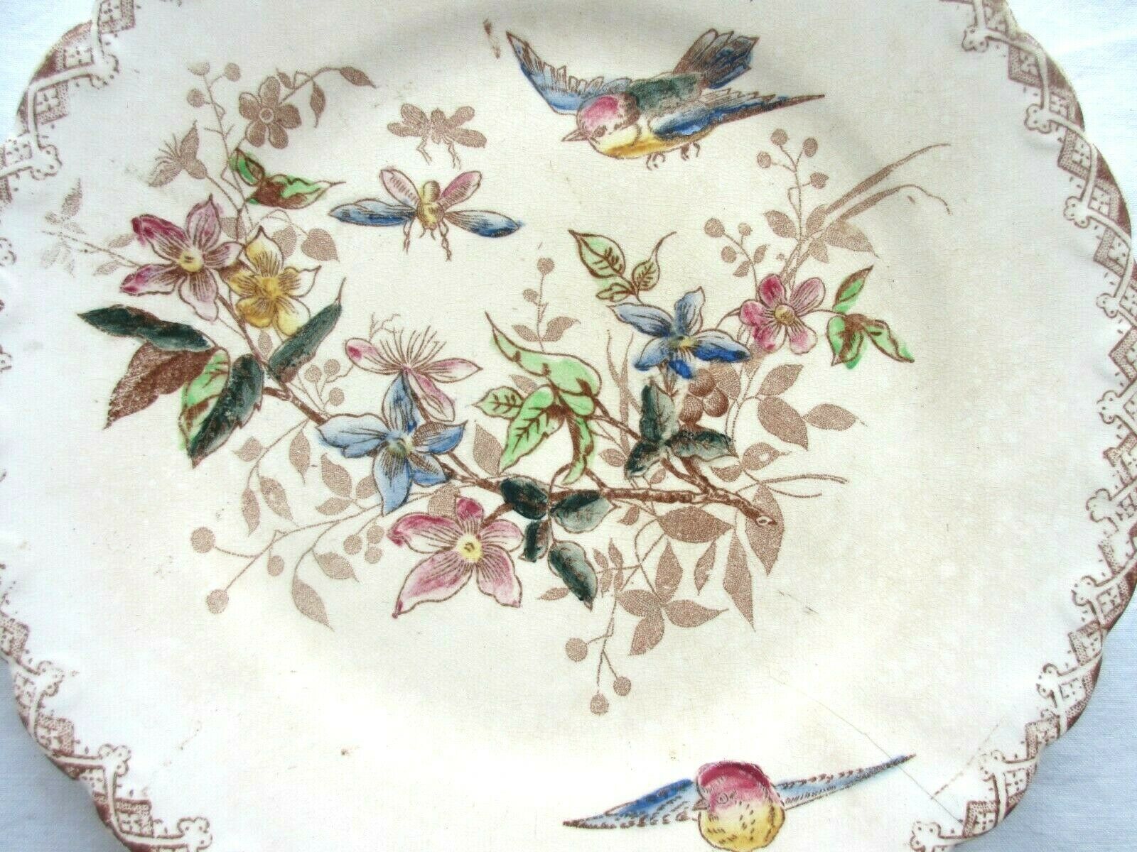 Polychrome dessert plate signed onnaing, birds, butterflies and flowers