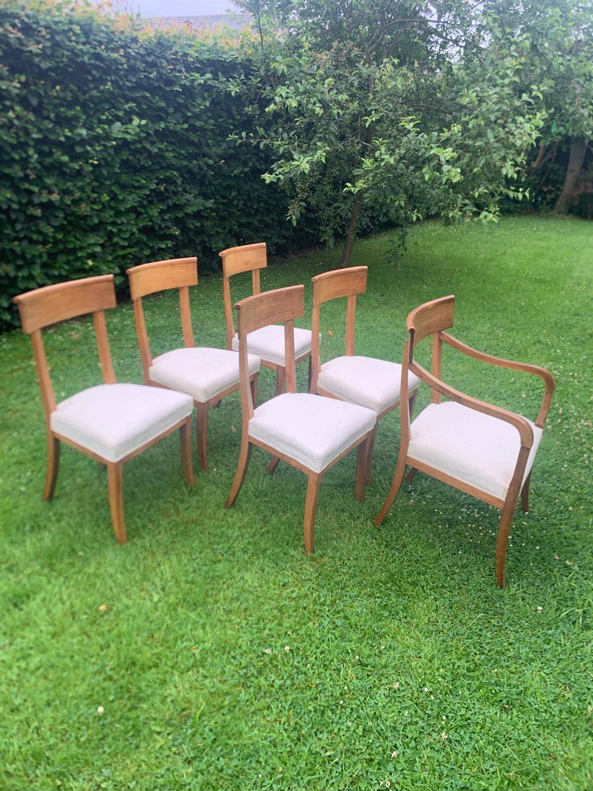 5 chaises et 1 fauteuil époque Empire