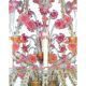 Luxury Pink and Transparent Venetian Murano Glass Chandelier
