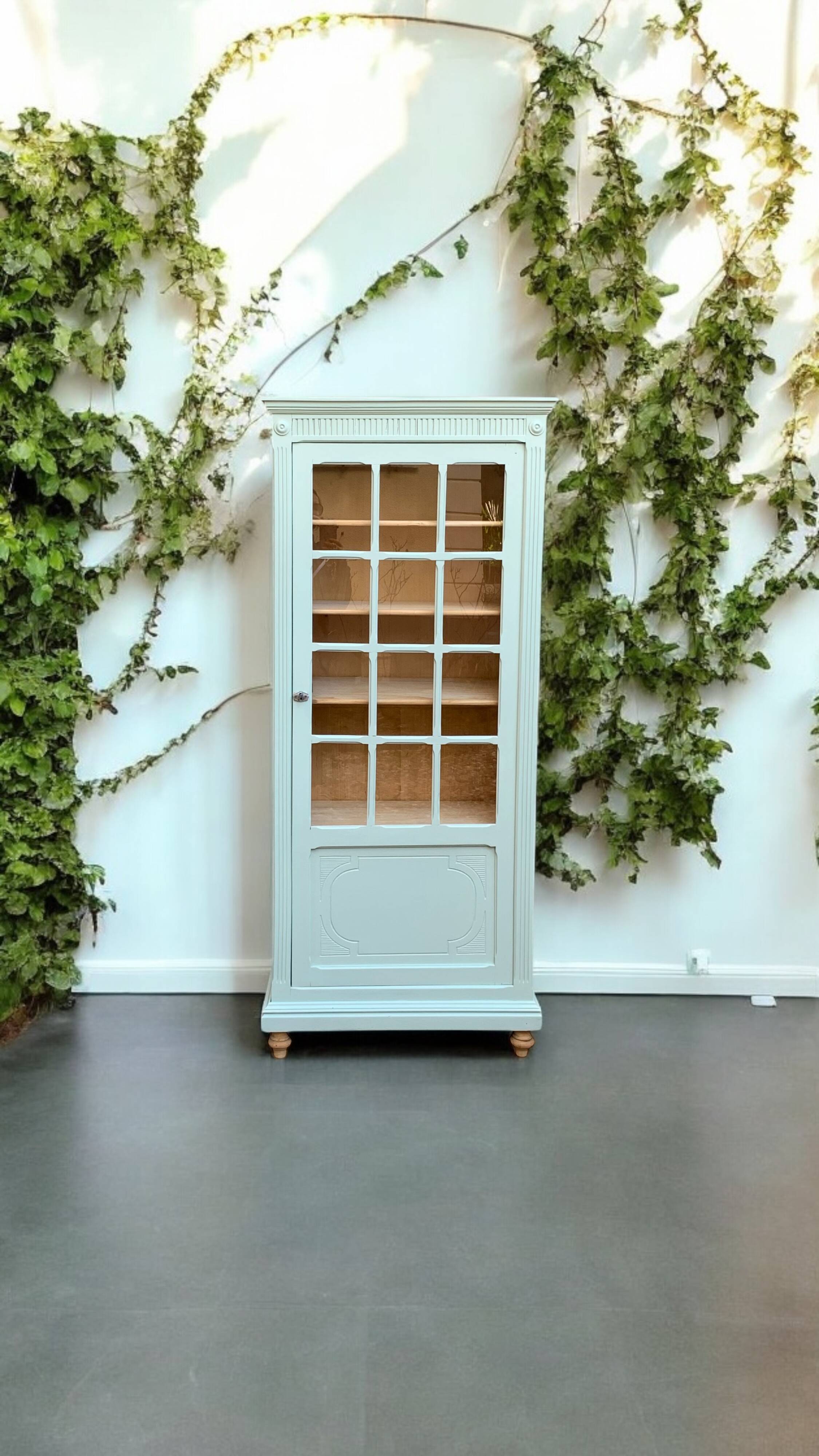 Antique celadon glass Parisian wardrobe H162