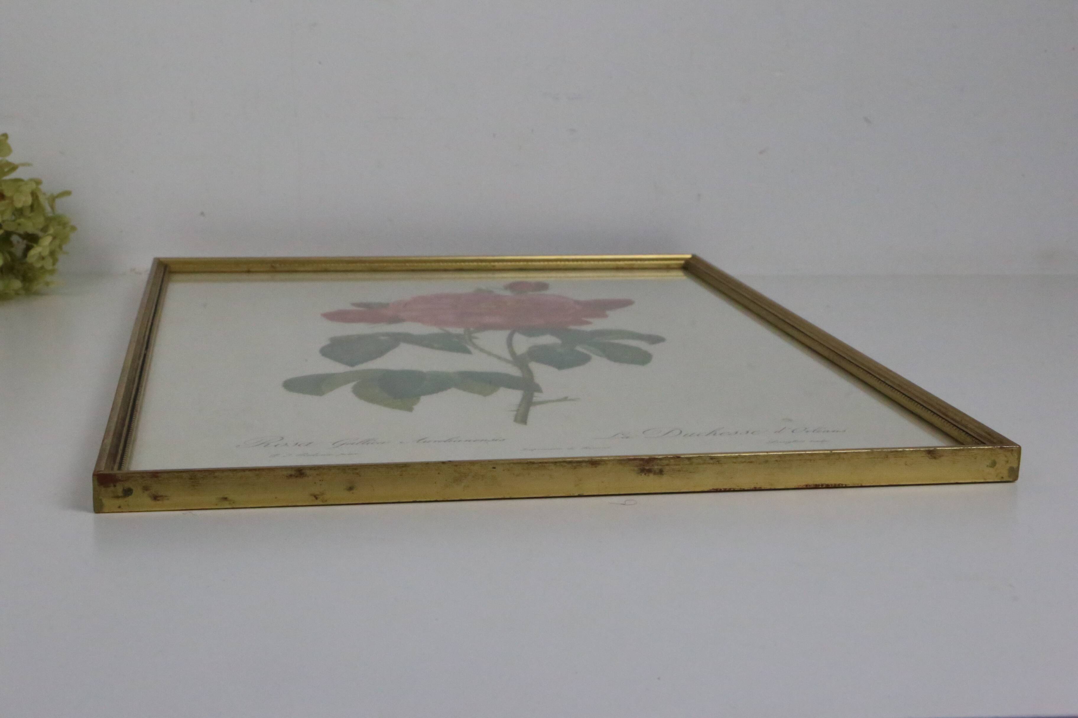 Great Redouté Lithograph