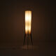 Floor lamp with teakwood rocket base 1960