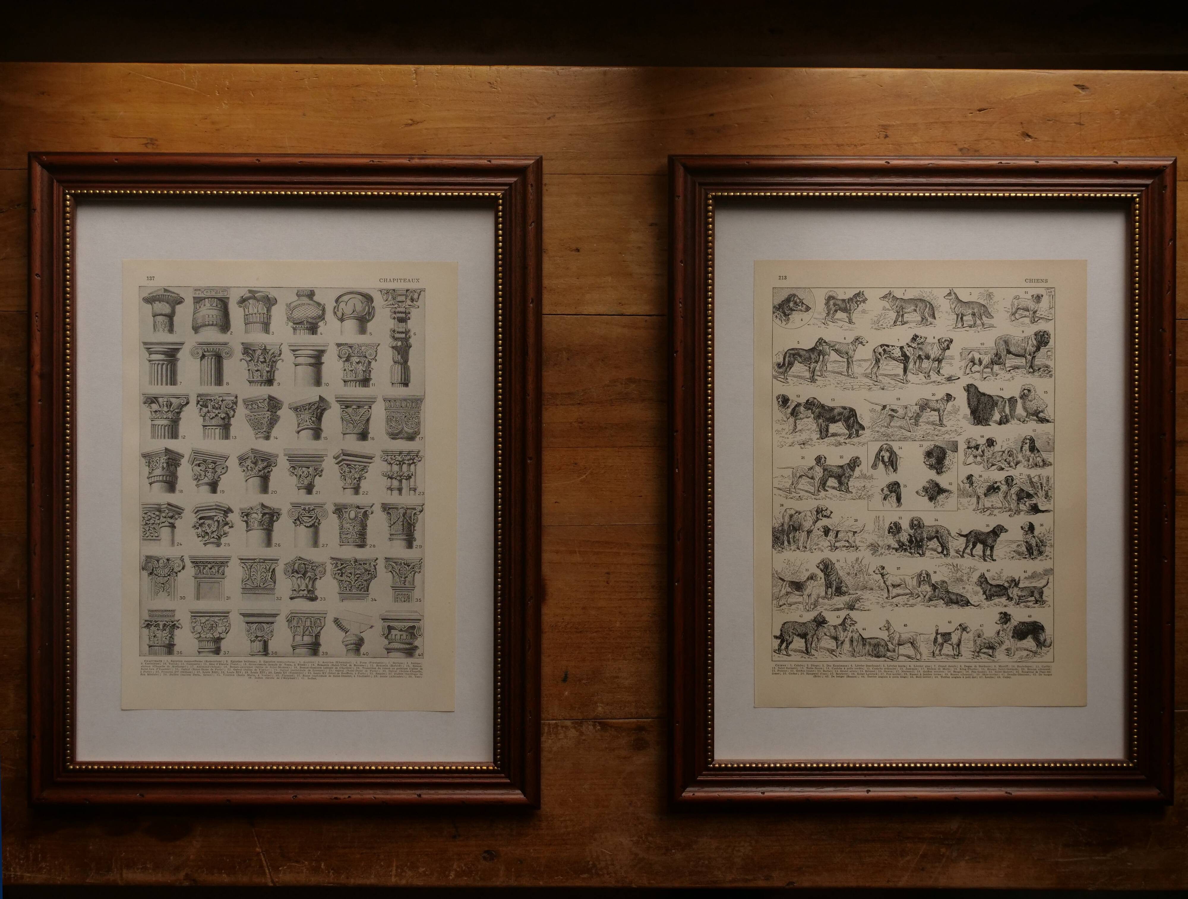 Original lithographs on trees