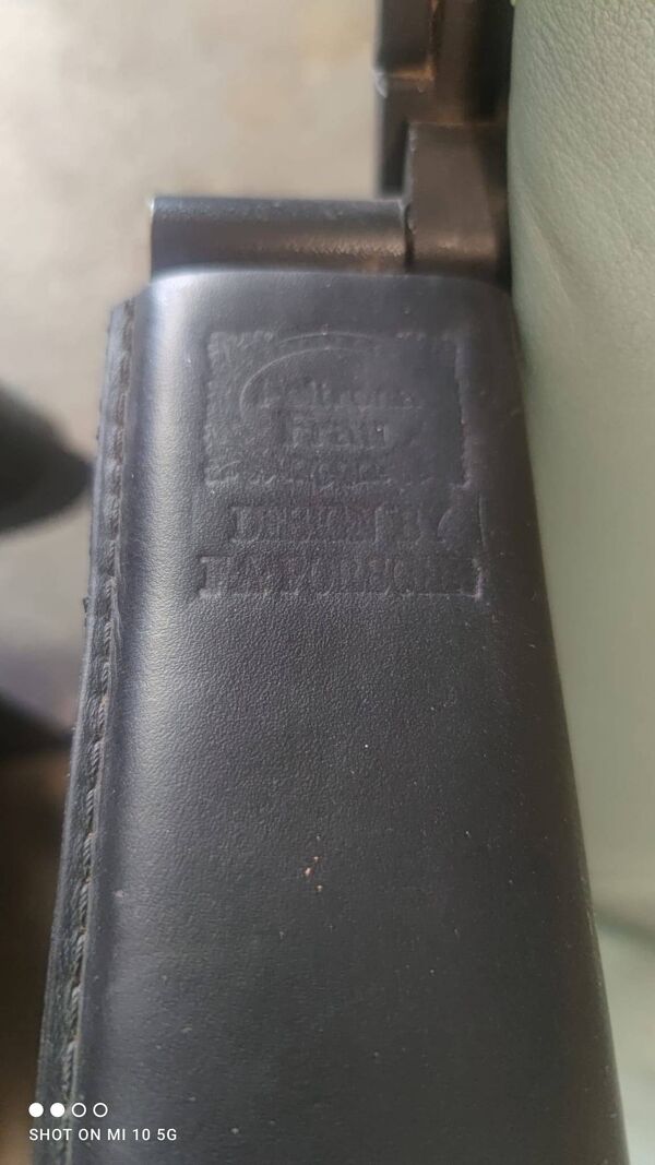 Paire de fauteuils modèle antropovarius ferdinand porsche poltrona frau