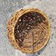 Round wicker wall lamp