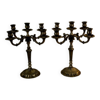 Chandeliers - Pair of five-branch candelabra in Louis XV style (Roc)