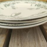 4 plates Terre de Fer Saint Amand Modern Style