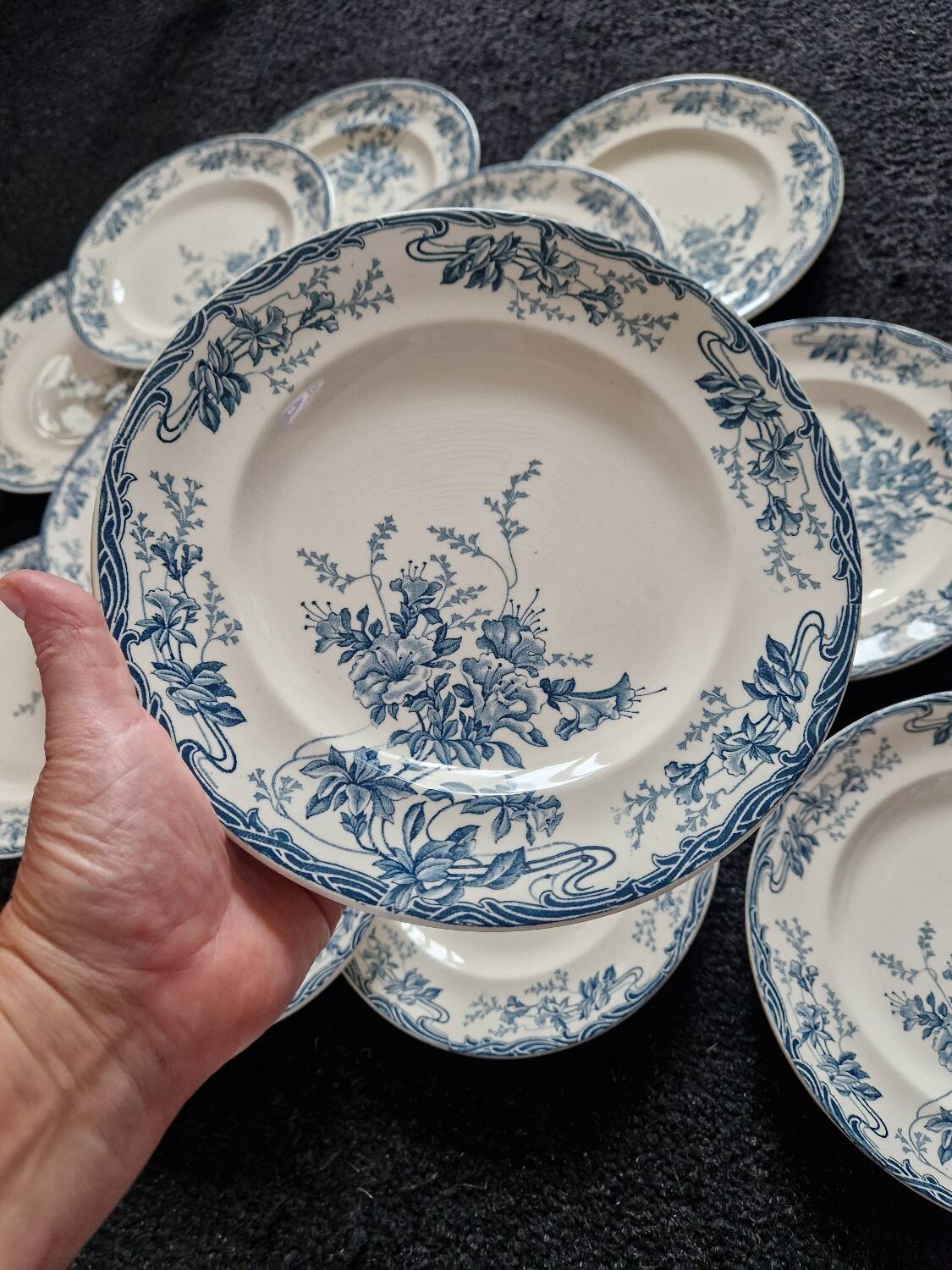 13 Longwy Azaleas dinner plates