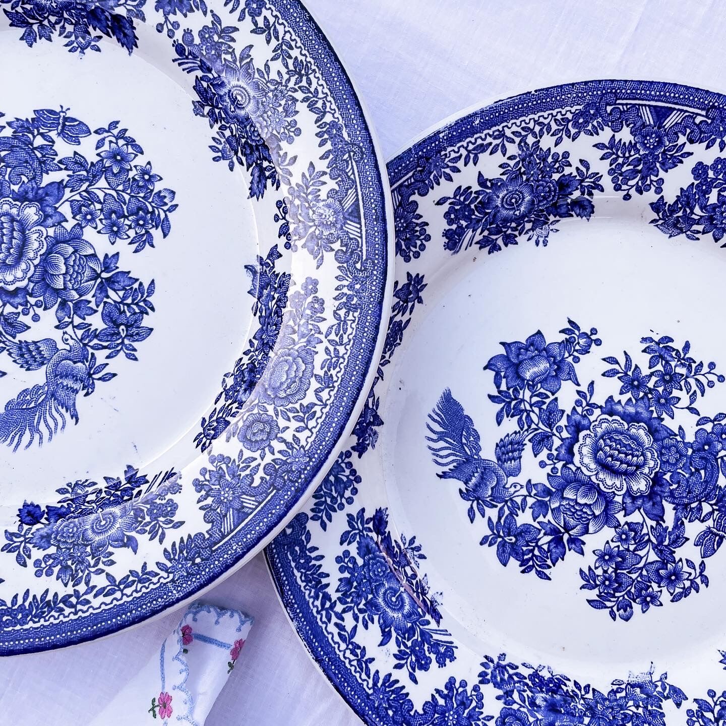 Duo of 2 flat plates Portuguese iron earth