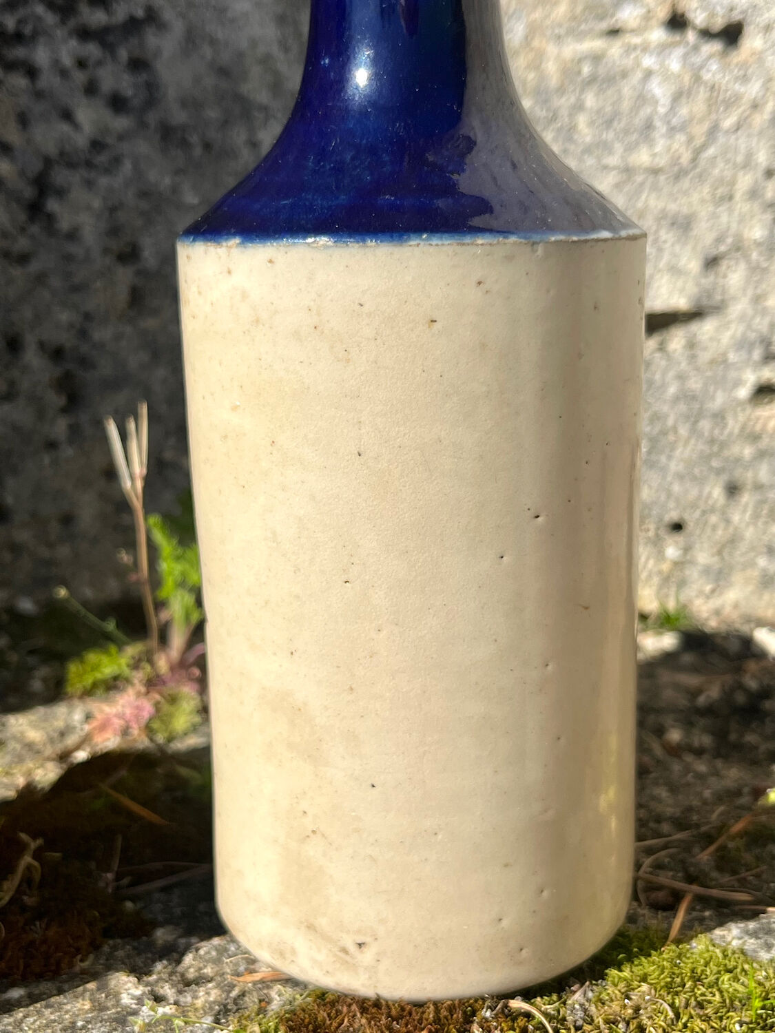 French stoneware grapefruit sparkling drink bottles