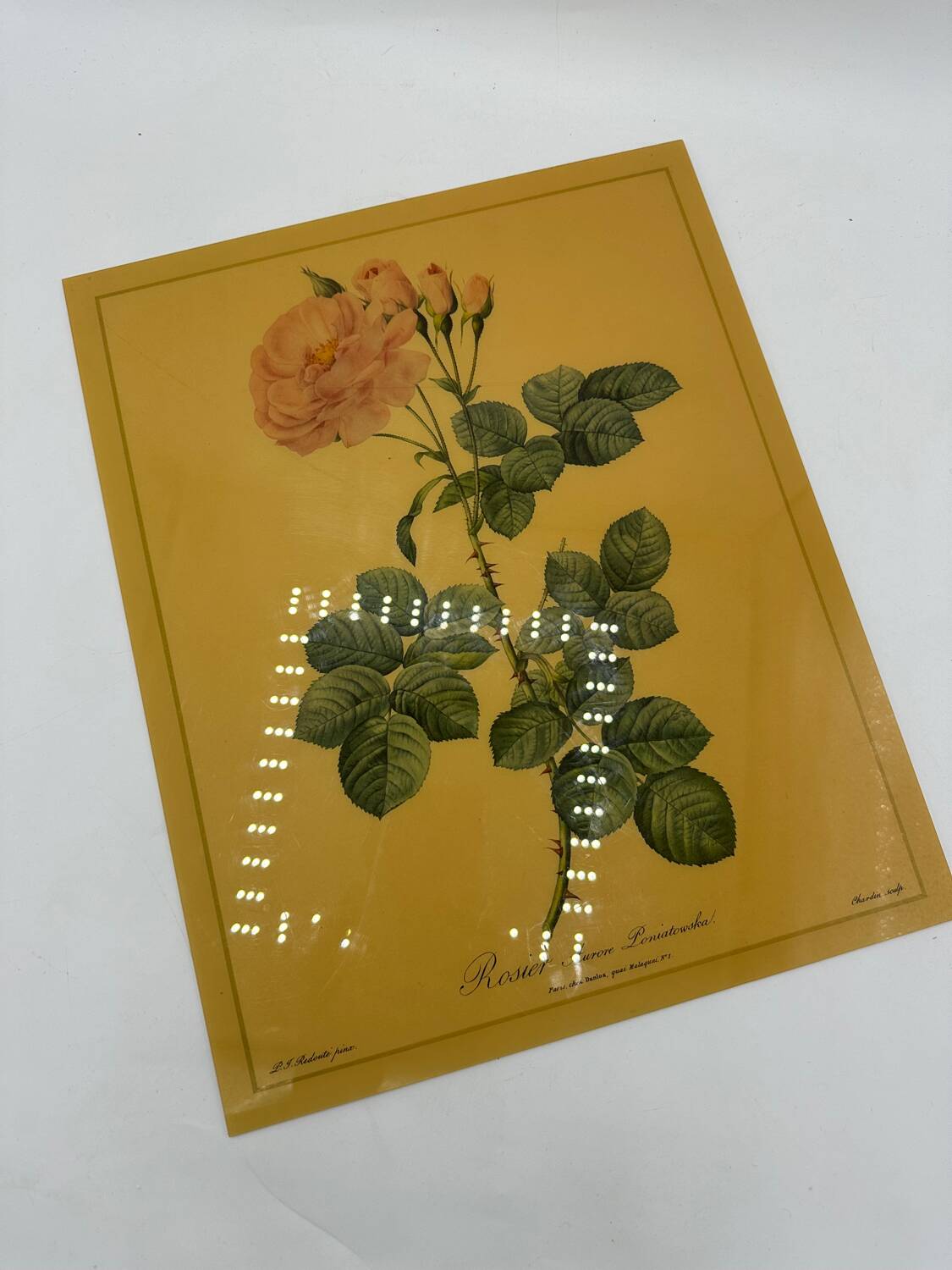 Vintage pink lithograph