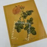 Lithographie rose vintag e