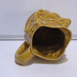 Pitcher