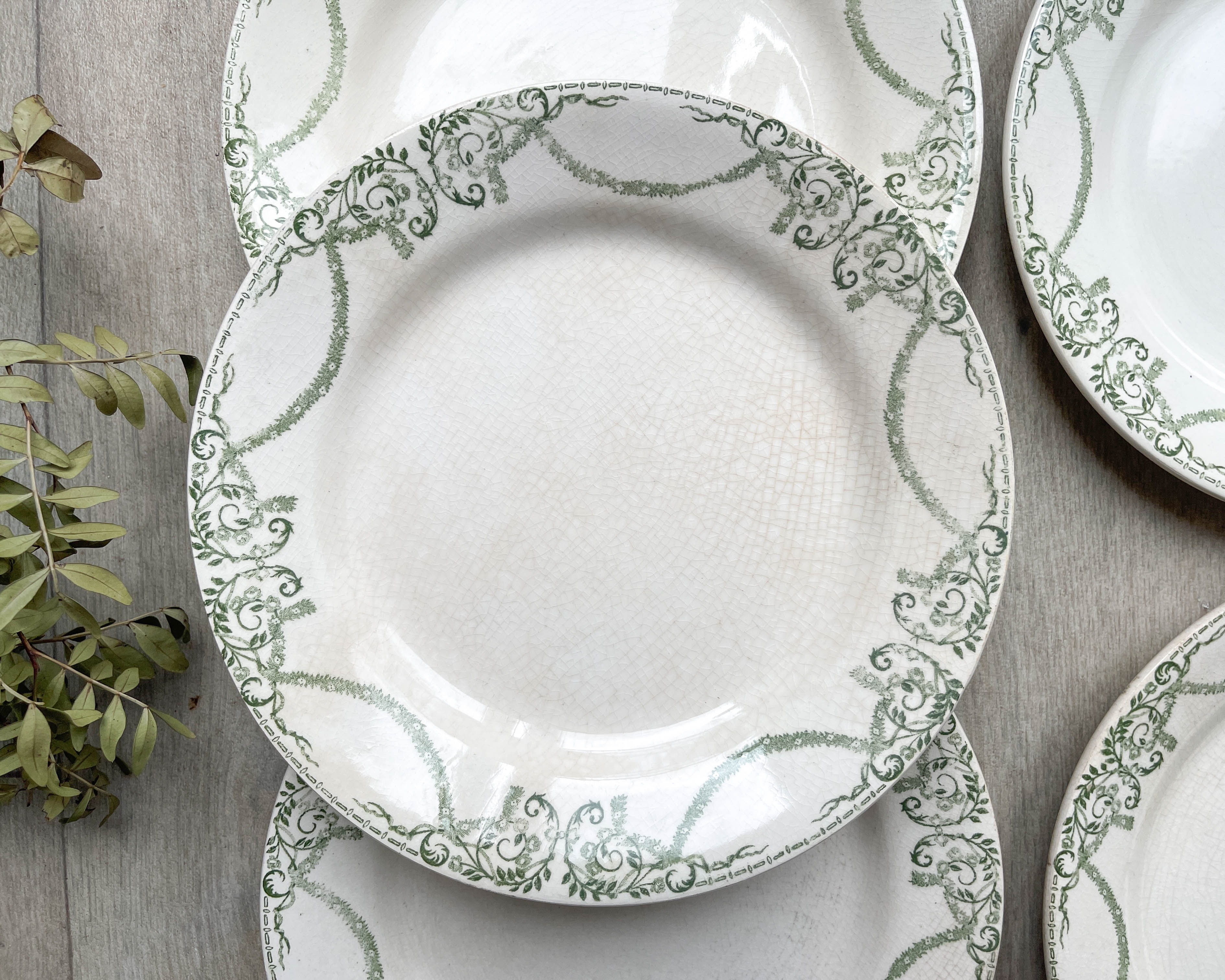 Flat plates terre de fer green creil & montereau labrador model "napoleon" 1890s