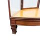 Antique Curved Glass Display Cabinet – Wooden Showcase – Early 20th Century