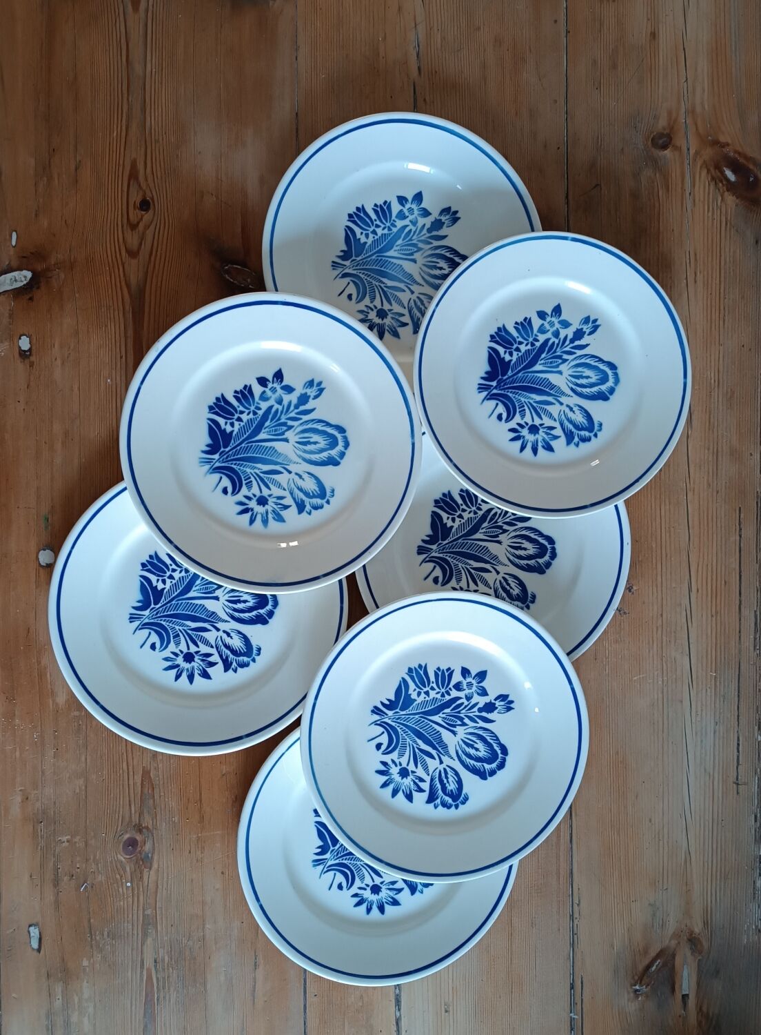 Set of 6 vintage earthenware plates