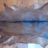 New goat skin
