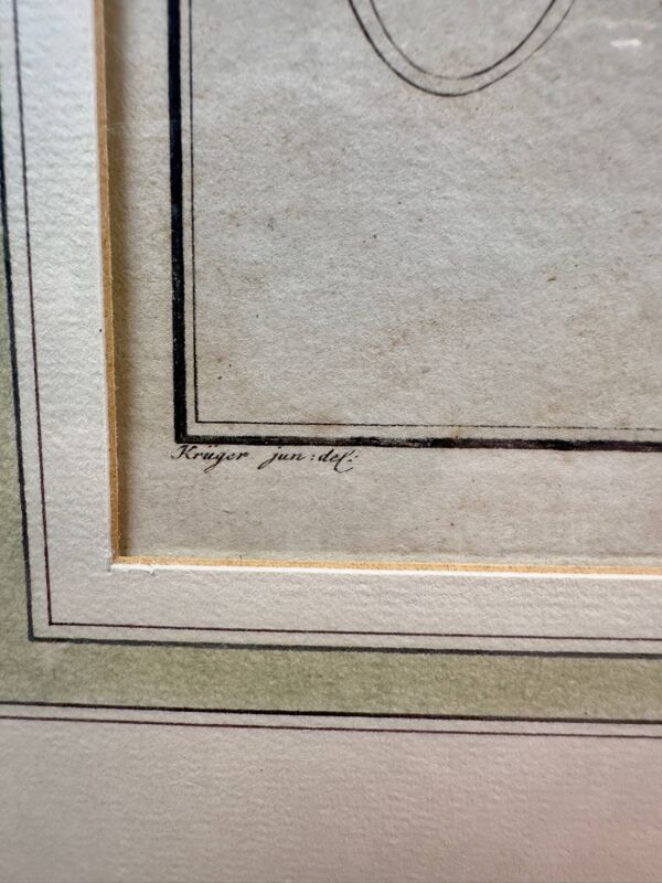 Gravure ancienne poisson exotique – Ludwig Schmidt (XIXᵉ siècle)