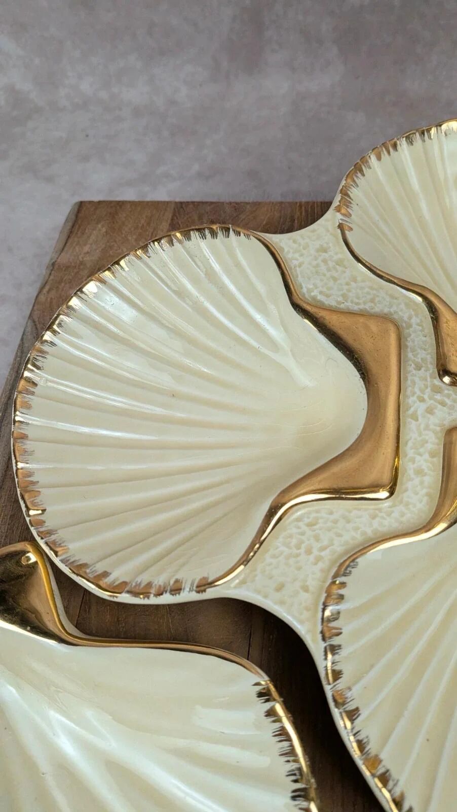 Présentoir coquillage vintage Siloa Paris + 2 coquilles