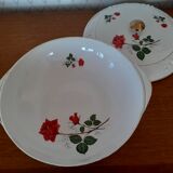 Vegetable soup Digoin Sarreguemines Sthendal