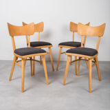 Set of 4 Dining Chairs, 1960s, Czechoslovakia, Midcentury, Reupholstered