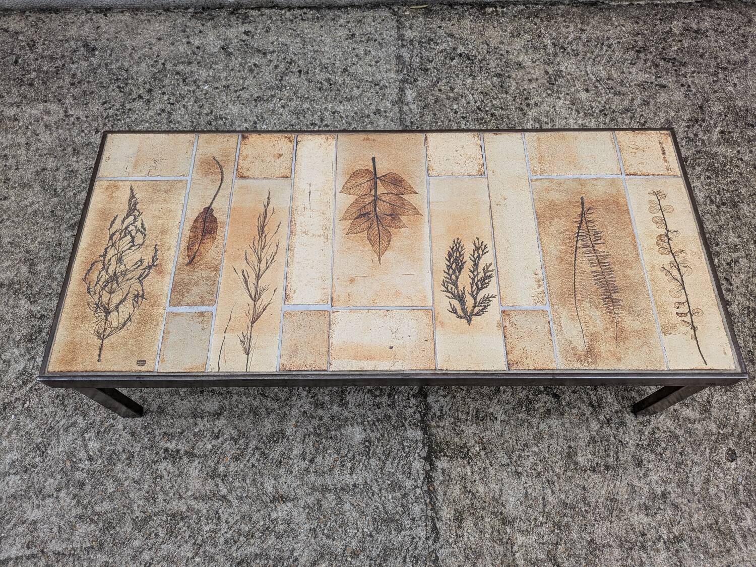 Roger Capron "herbarium" rectangular coffee table with patinated steel structure
