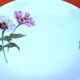 Deep serving dish Fine Bohemian porcelain