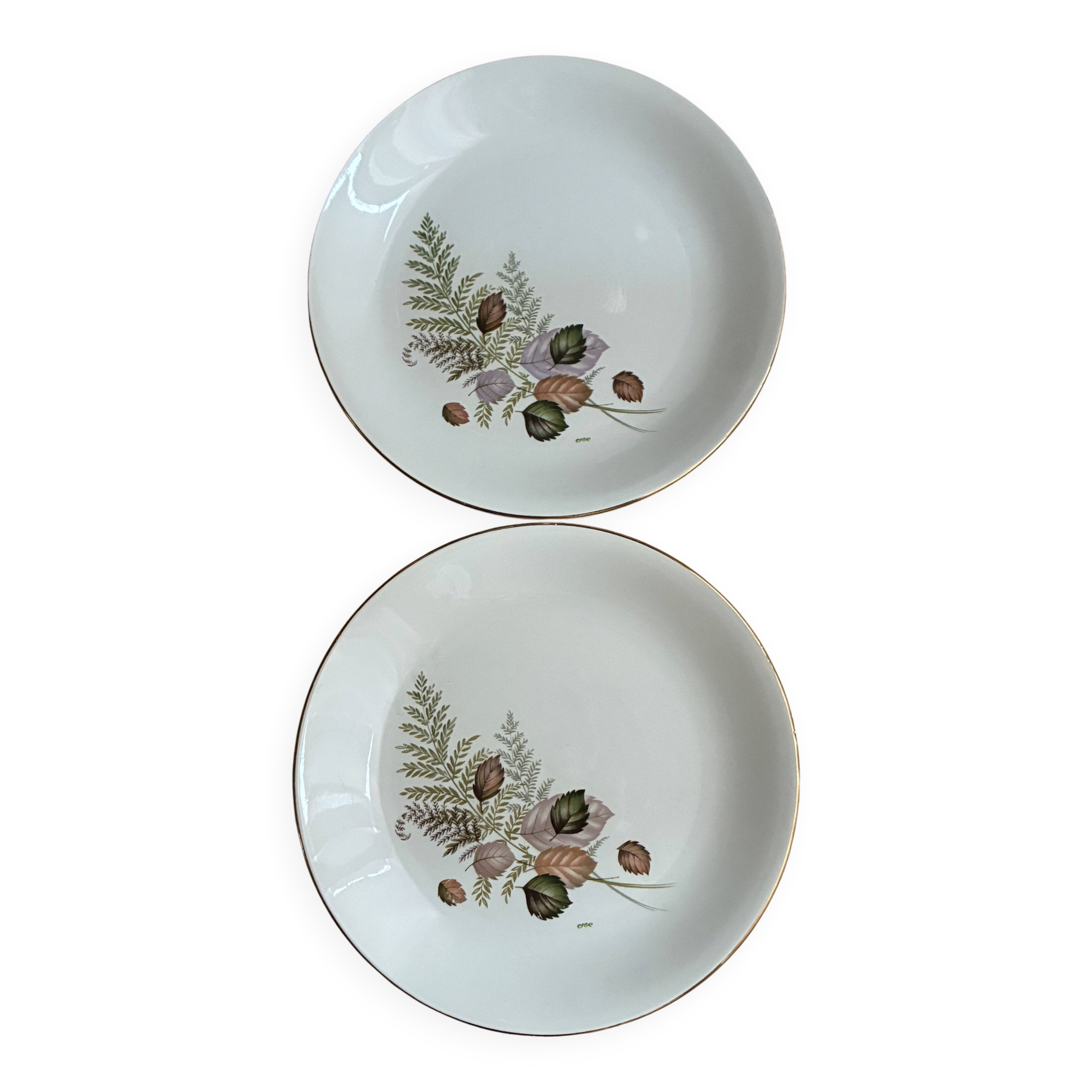 plates Digoin