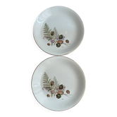 plates Digoin