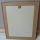 Lithograph by J. Audubon "Yellow Breasted Cat" from the 50s/60s, framed