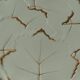 Art Deco Pistachio and Gold Leaf Plates Viloca Paris Caffarelli