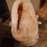 Shell lamp from the 50s