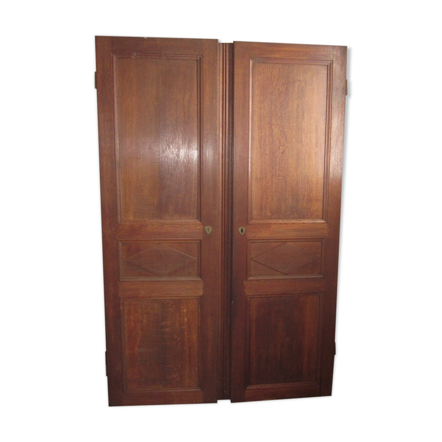 Pair of old door
