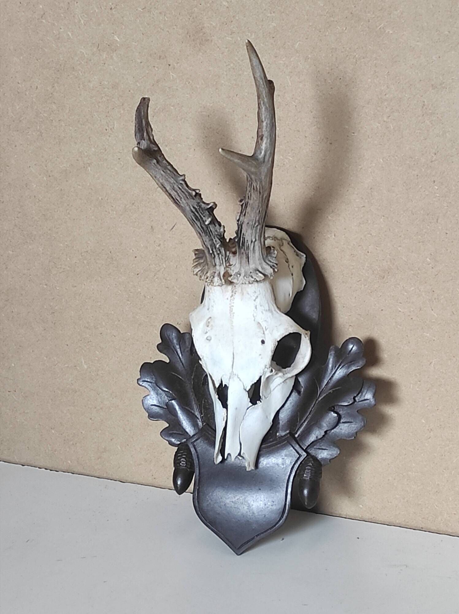 Massacre young deer on carved wooden crest with oak leaves and acorns