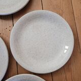 6 assiettes à dessert mouchetées