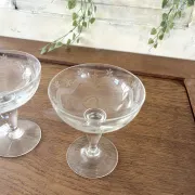 Champagne glasses coupe glasses set of 2 etched floral design crystal