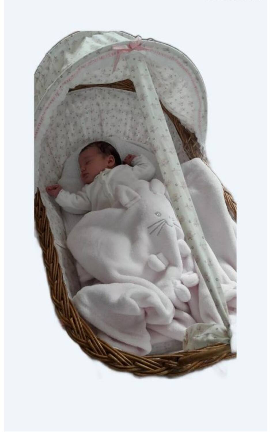 Vintage 1970s wicker cradle on wheels