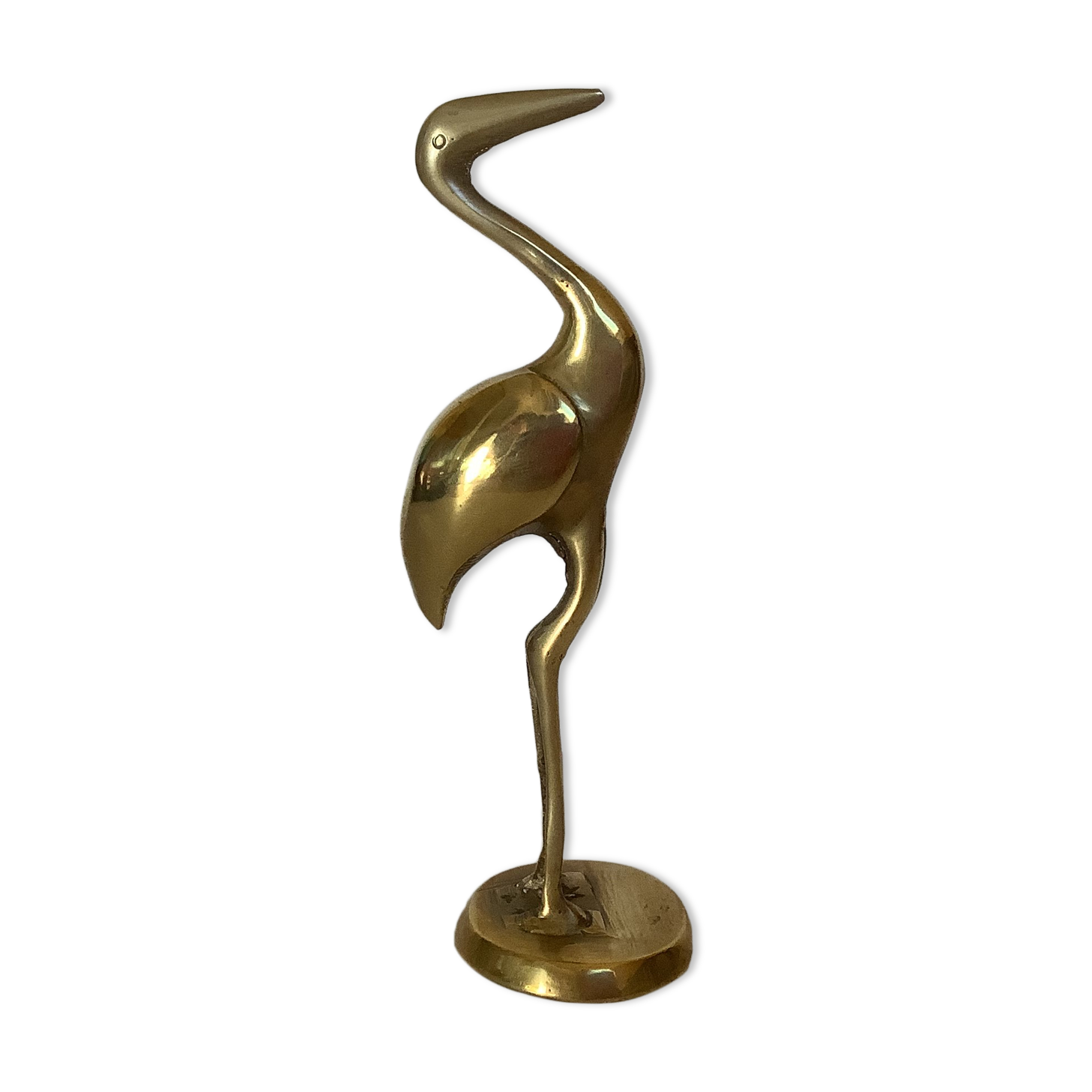 Brass ibis bird