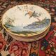 6 Gien France Caribbean dinner plates Magellan pattern Diameter: 22.5cm
