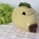 Vintage Pear Soup Tureen in Slip
