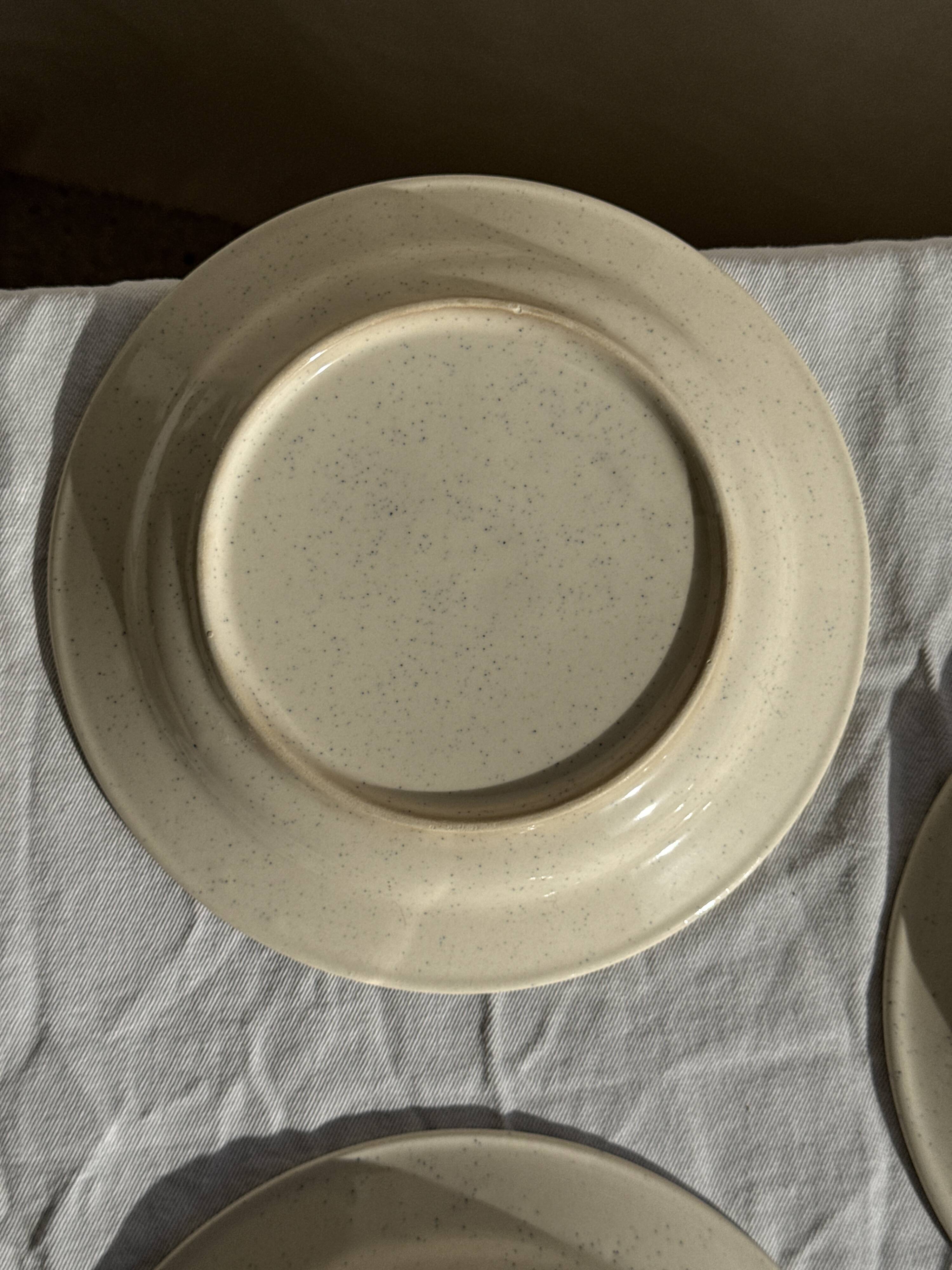 Set consisting of 6 beige flat plates with a blue rim + 3 deep plates.