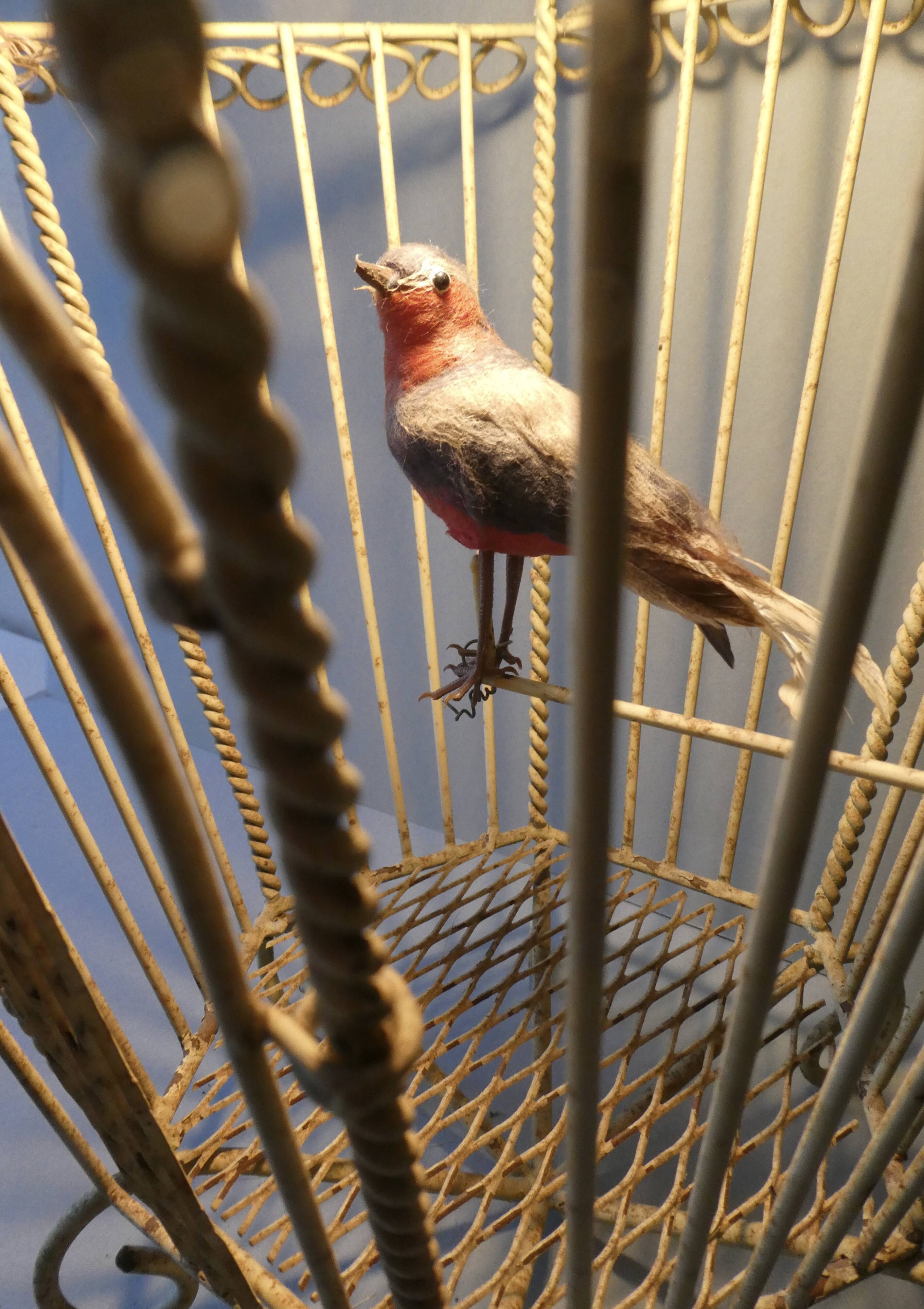 Chandelier suspension in metal, cage shape, from the 60s