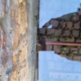 Roche Bobois office 80s