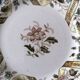 Saint Amand and Hamage sweets plate, rinceau collection