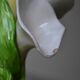 Lily slip vase