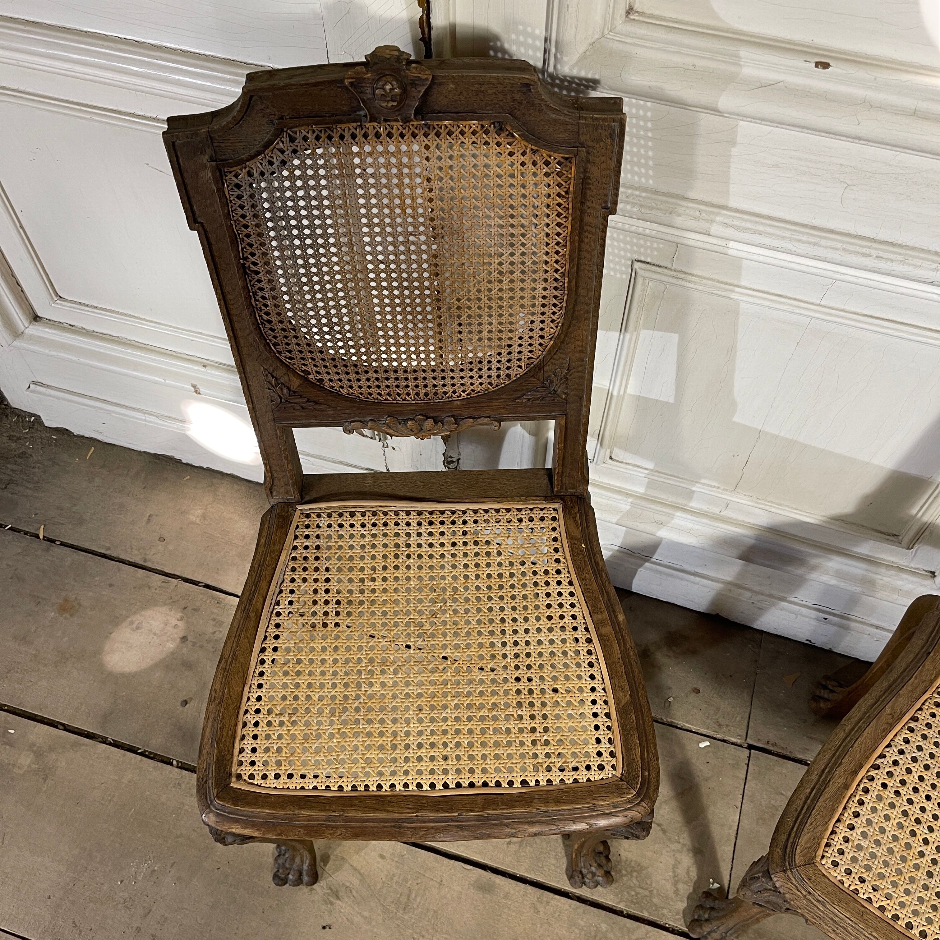 Paire de chaises cannée pieds pattes de lion