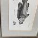Fish engraving